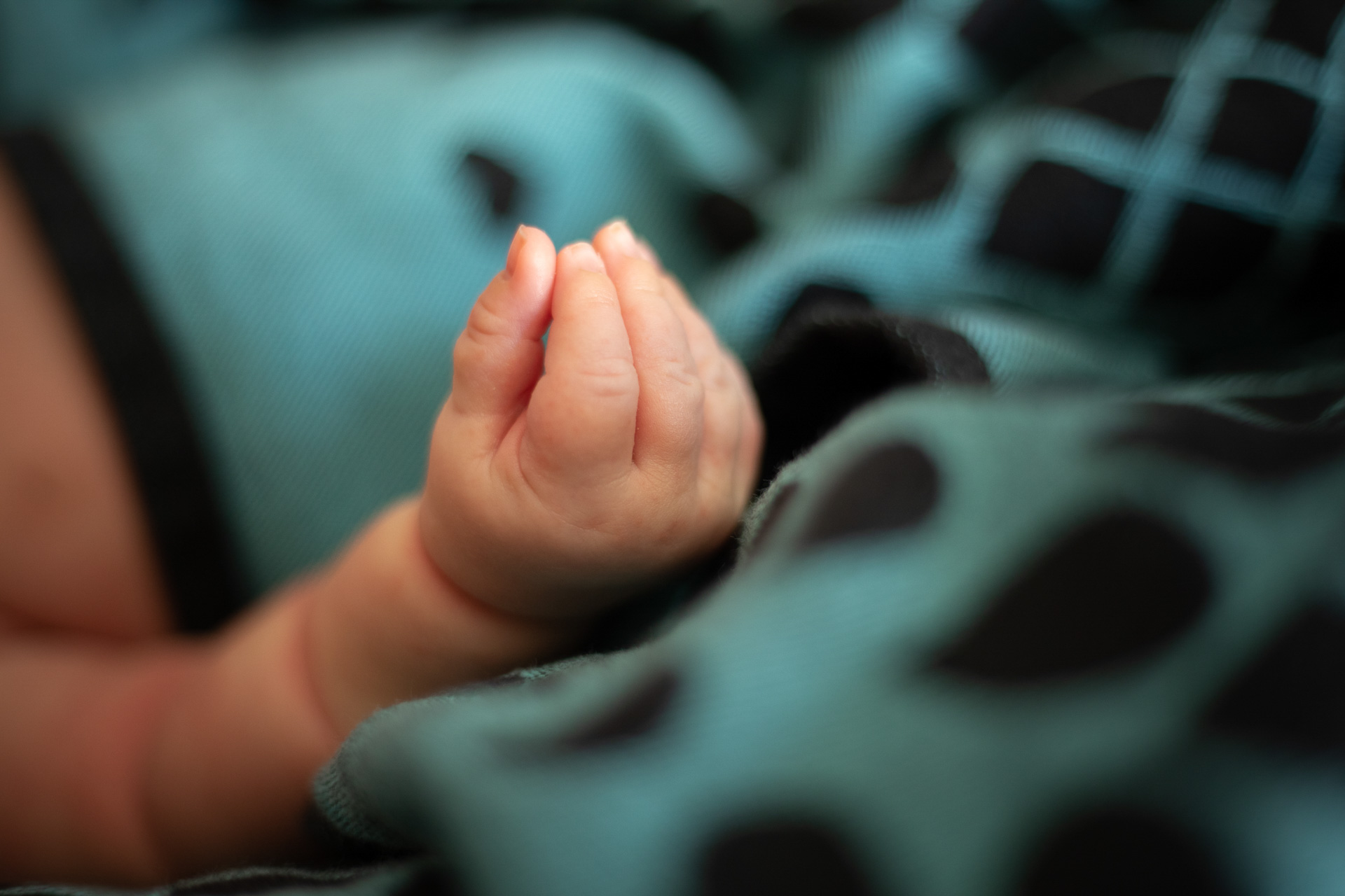 dekka-petal-metod produkt/dekka-petal-metod/x-dekka_petal_metod_02.jpg